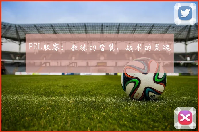 PEL联赛:教练的智慧,战术的灵魂