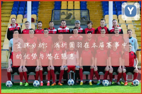 金牌分析:浅析国羽在本届赛事中的优势与潜在隐患