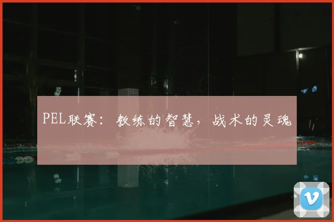 PEL联赛:教练的智慧,战术的灵魂